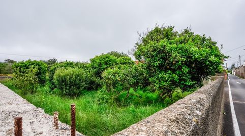 Foto 4 de Finca rústica en venda a Guamasa - El Ortigal - Los Rodeos, San Cristóbal de la Laguna