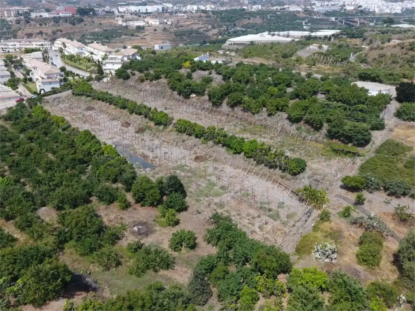 Grundstücke zum Verkauf in Torrox