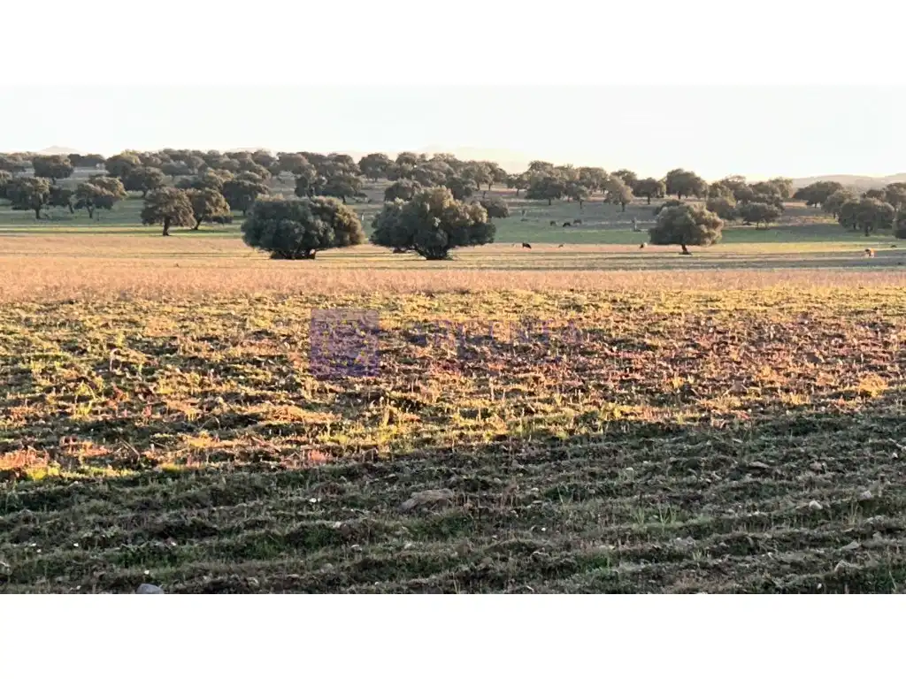 Casa o xalet en venda a Oeste