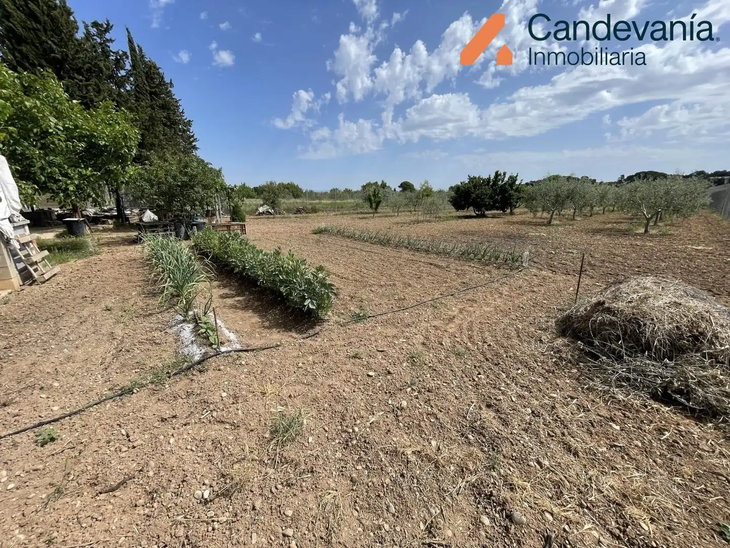 Land for sale in Gurrea de Gállego