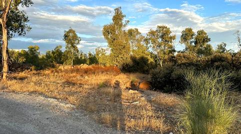 Foto 2 de Residencial en venda a Radio Faro, San Roque - La Cruz - La Rozuela, Jaén