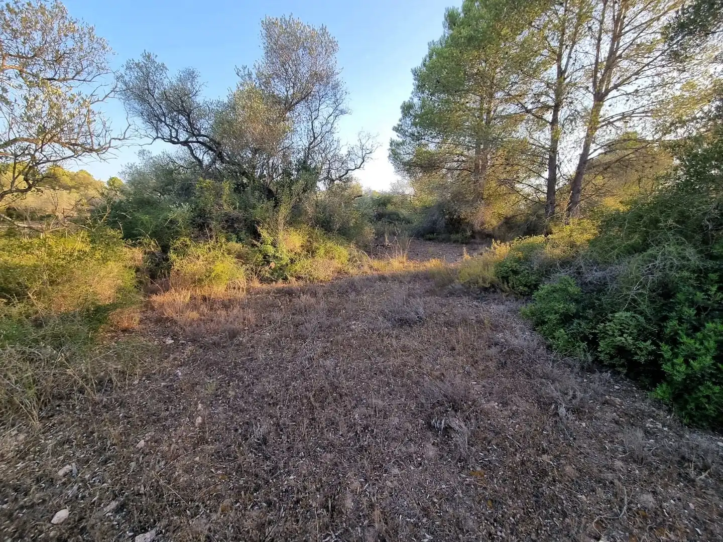 Residencial en venta en Tivissa