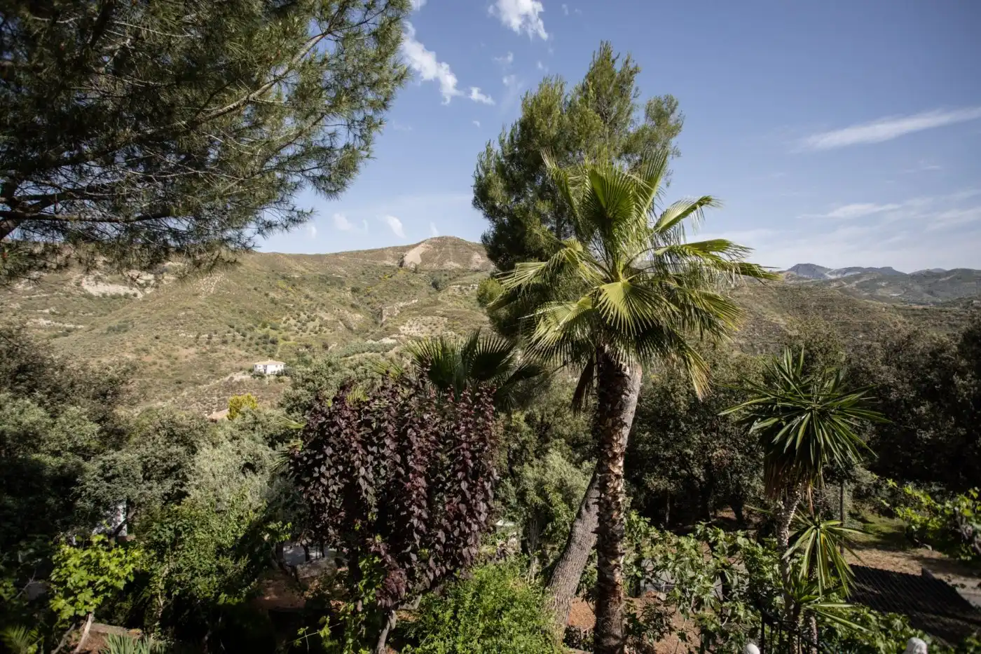 Jardín de Casa o chalet en venta en Dúdar con Aire acondicionado, Calefacción y Jardín privado