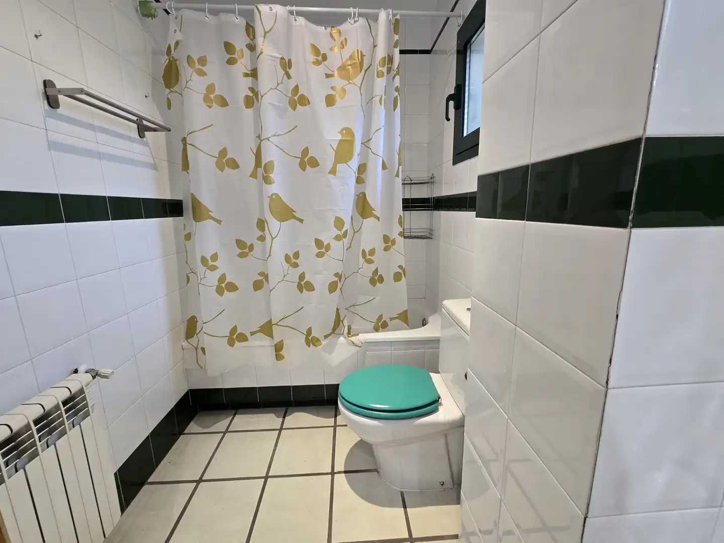 Baño de Casa o chalet en venta en Morata de Tajuña con Aire acondicionado, Calefacción y Jardín privado