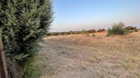 Photo 5 of Residential to rent in Dehesilla de Calamón - Campomanes, Badajoz