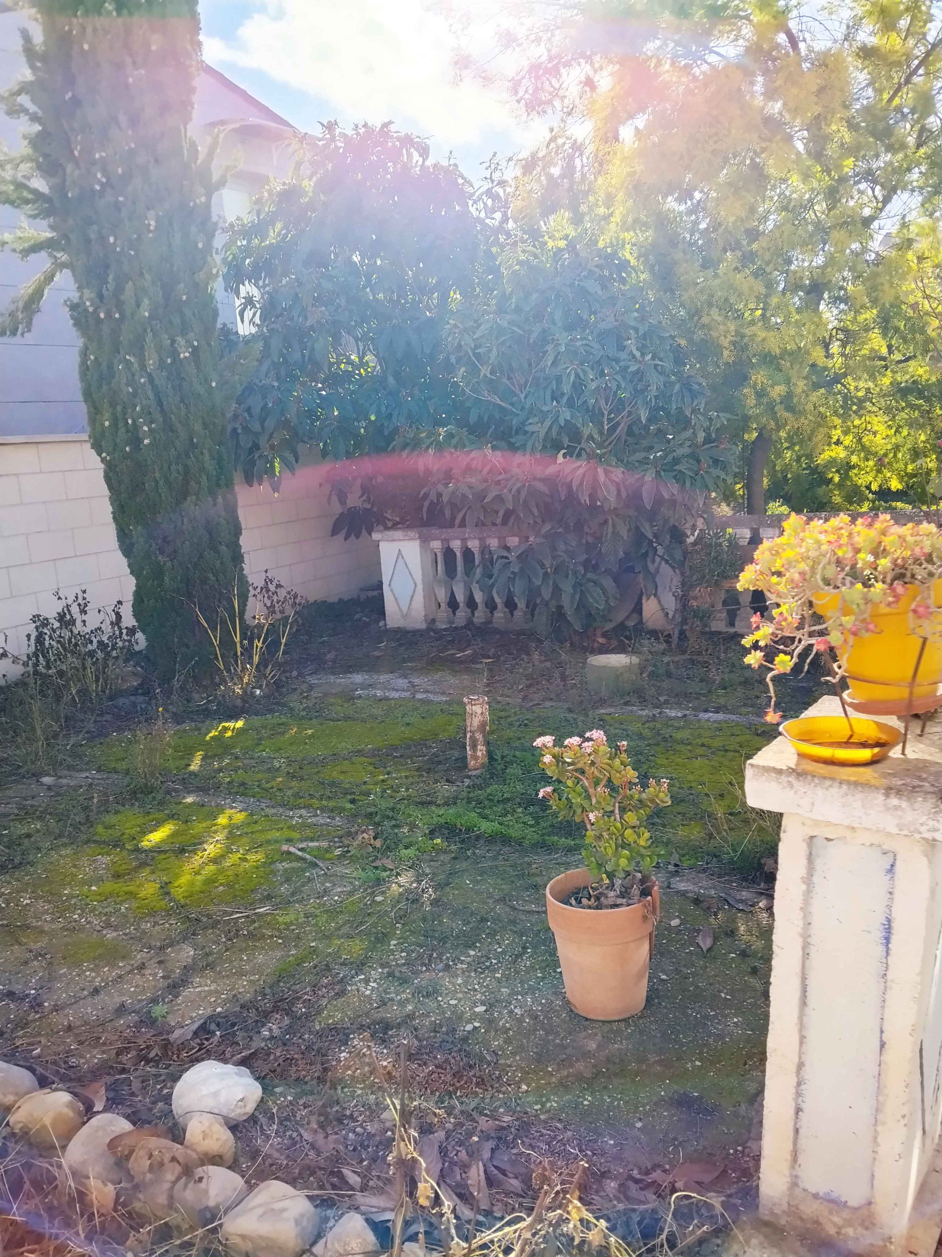 Garden of Country house for sale in Cascante  with Private garden and Storage room