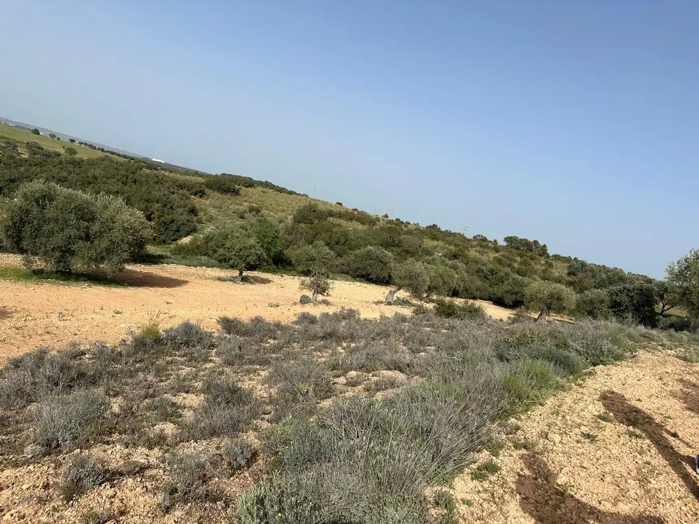 Terreno en venta en Morata de Tajuña