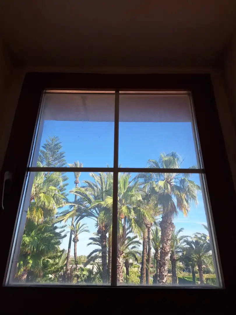 Vista exterior de Casa o chalet en venta en Elche / Elx
