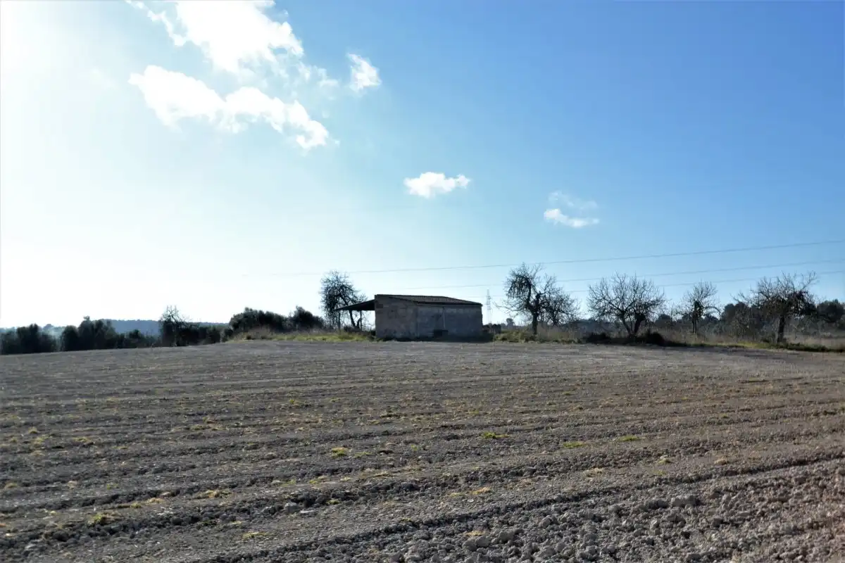 Casa rústica en venta en Llubí, imagen 4