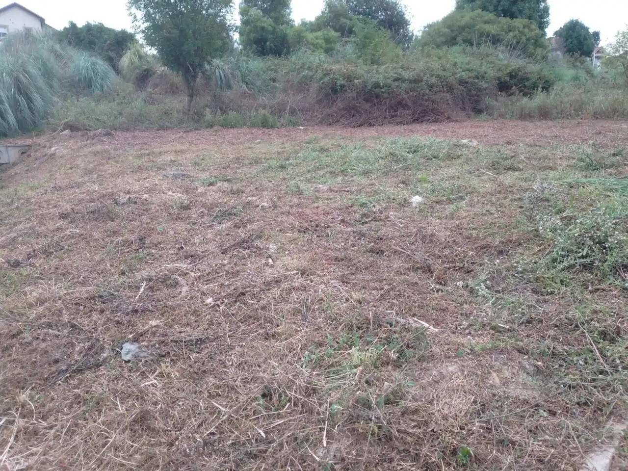 Terreni e lotti in vendita a Meruelo, imagen 5