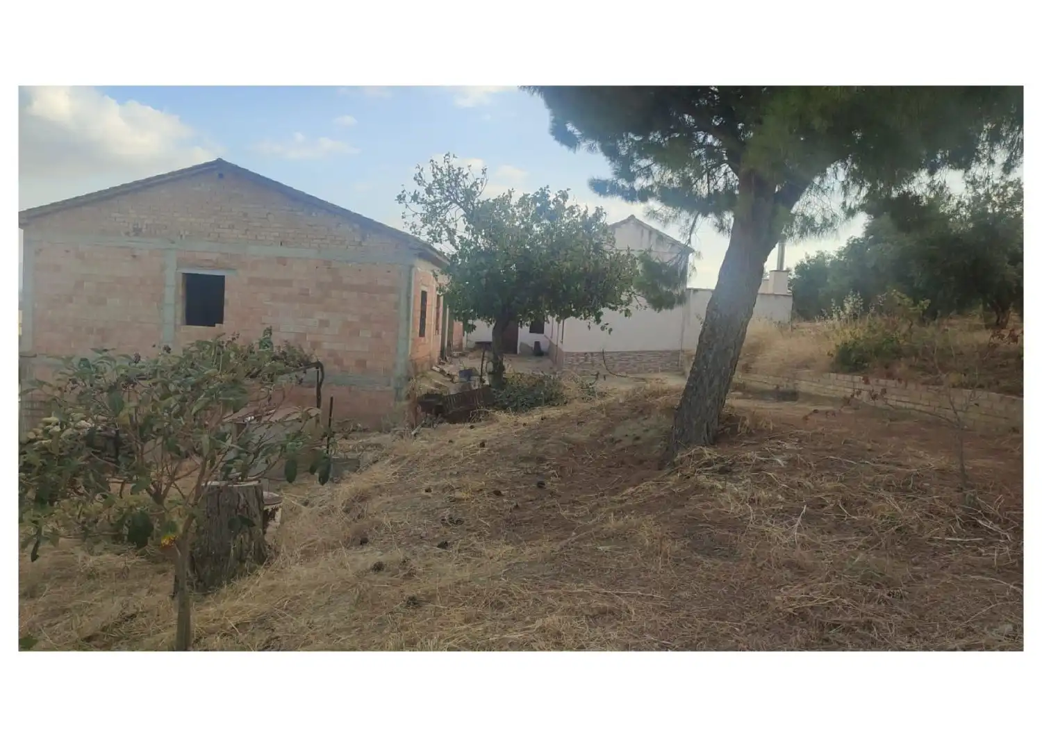 Country homes for sale in Setenil de las Bodegas