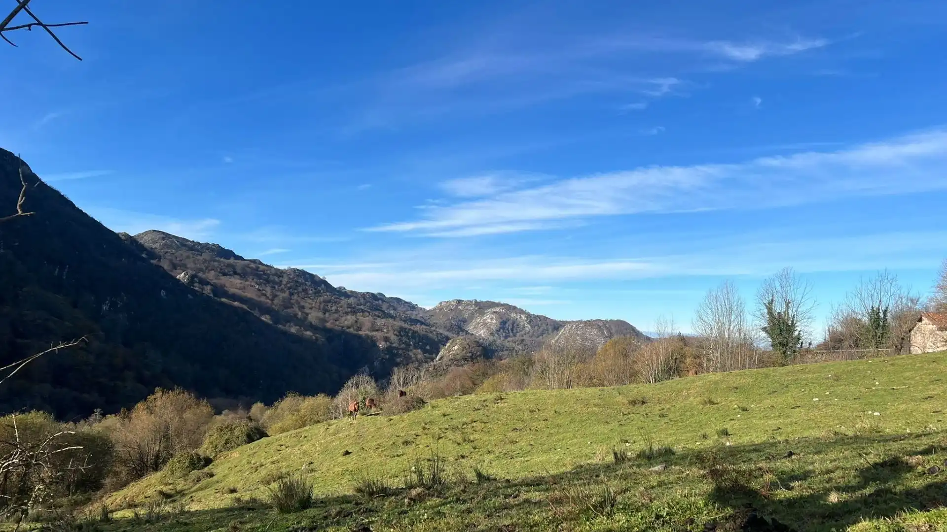 Terreno rustico in vendita a Cangas de Onís, imagen 15