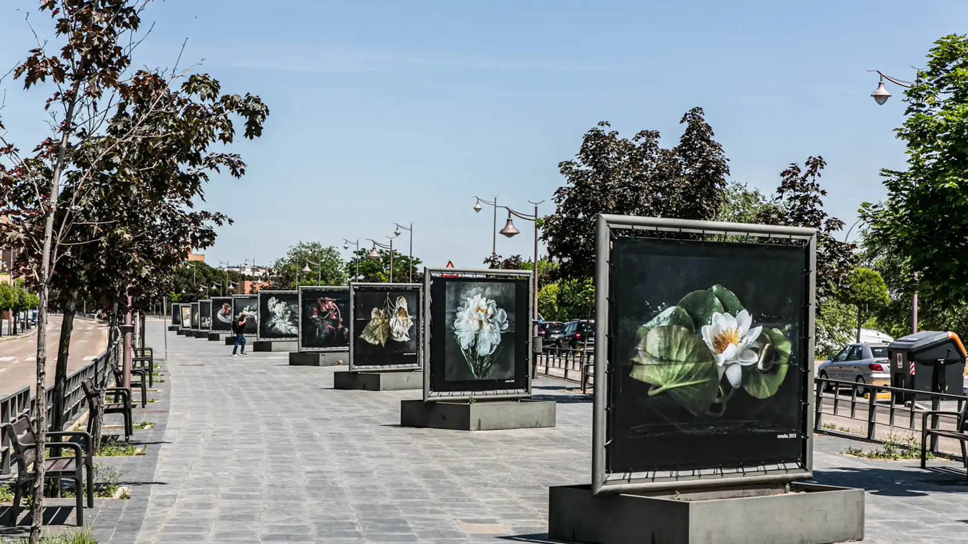 Exterior view of Flat for sale in Alcobendas  with Terrace