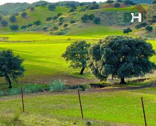 Residencial en venda a San Jerónimo - La Bachillera