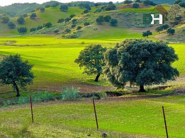 Lands and plots for sale in Norte