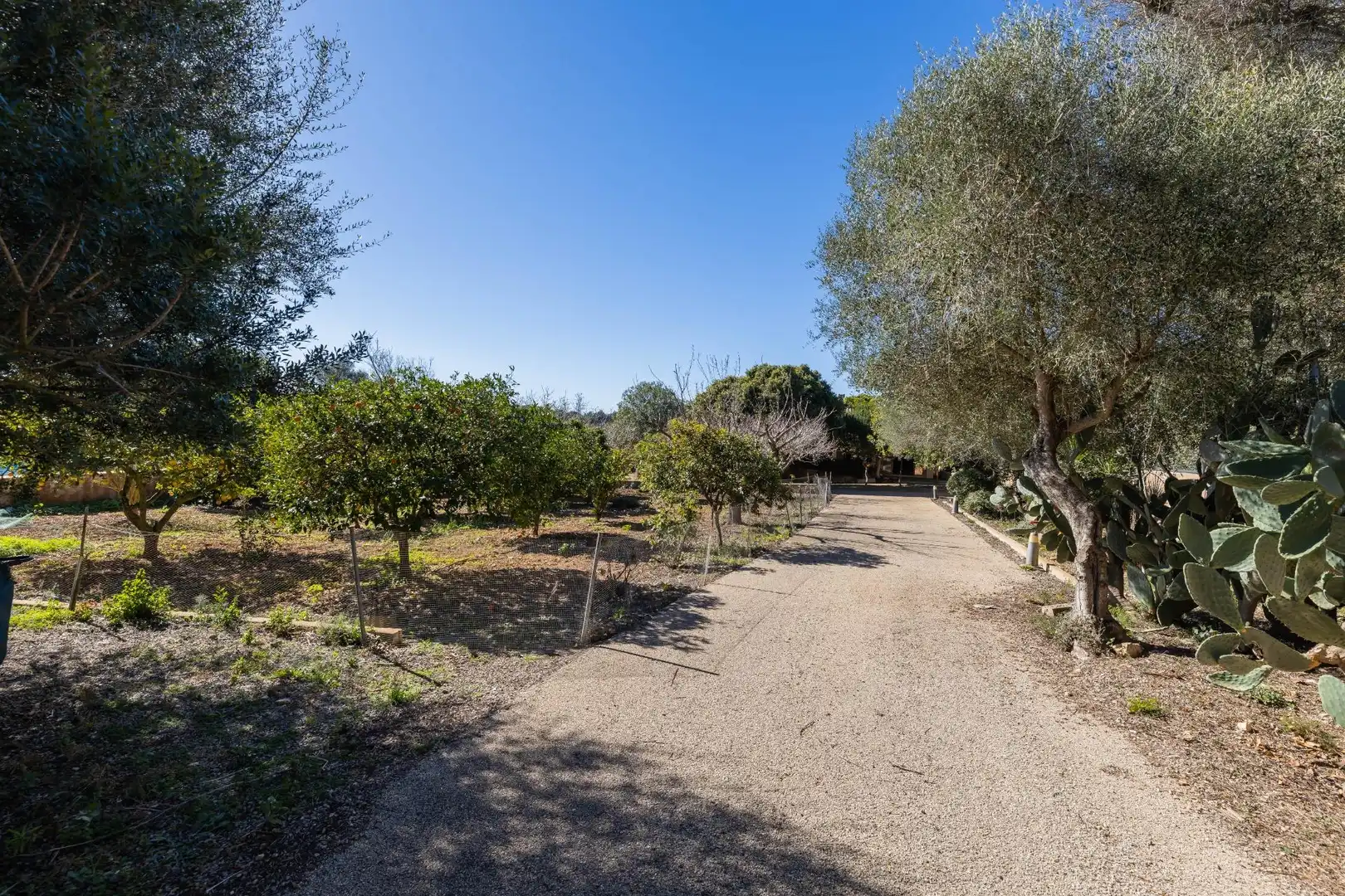 Haus oder Chalet zum Verkauf in Manacor mit Klimaanlage, Privatgarten und Terrasse