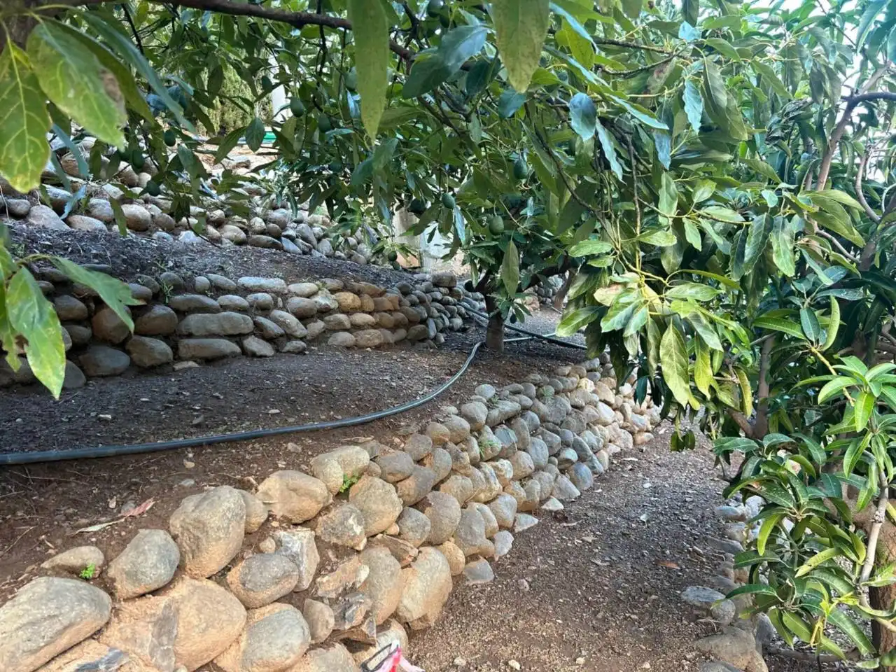 Jardí de Finca rústica en venda en Estepona amb Aire condicionat, Calefacció i Jardí privat