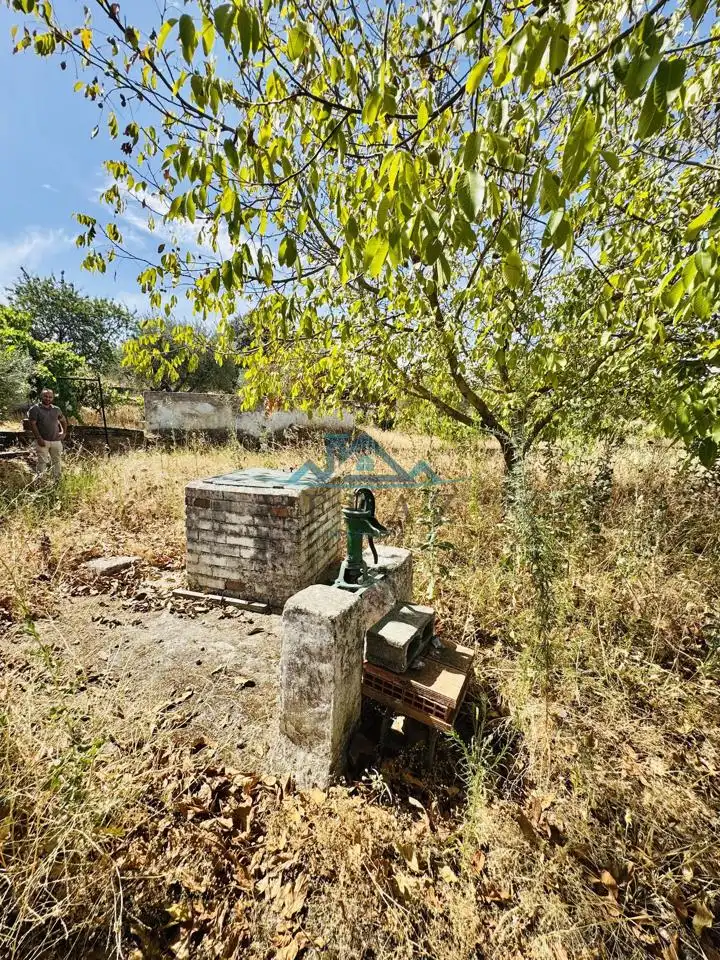 Terreno rústico en venta en Diseminado, imagen 12