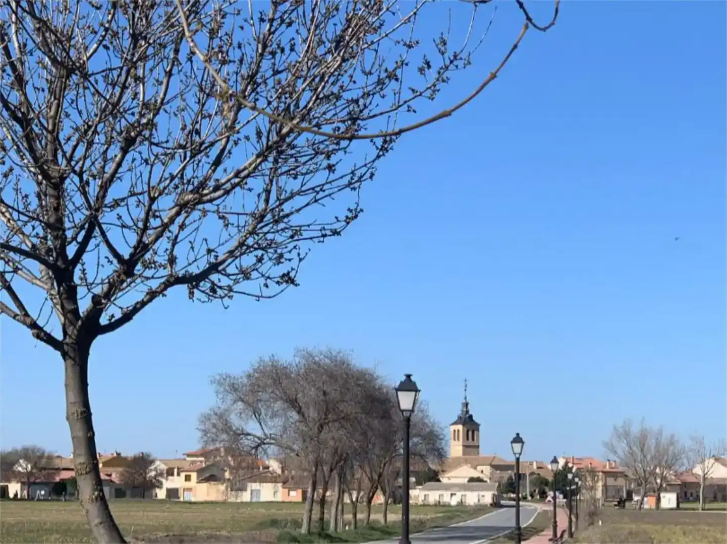 Vista exterior de Terreno en venta en Marazoleja