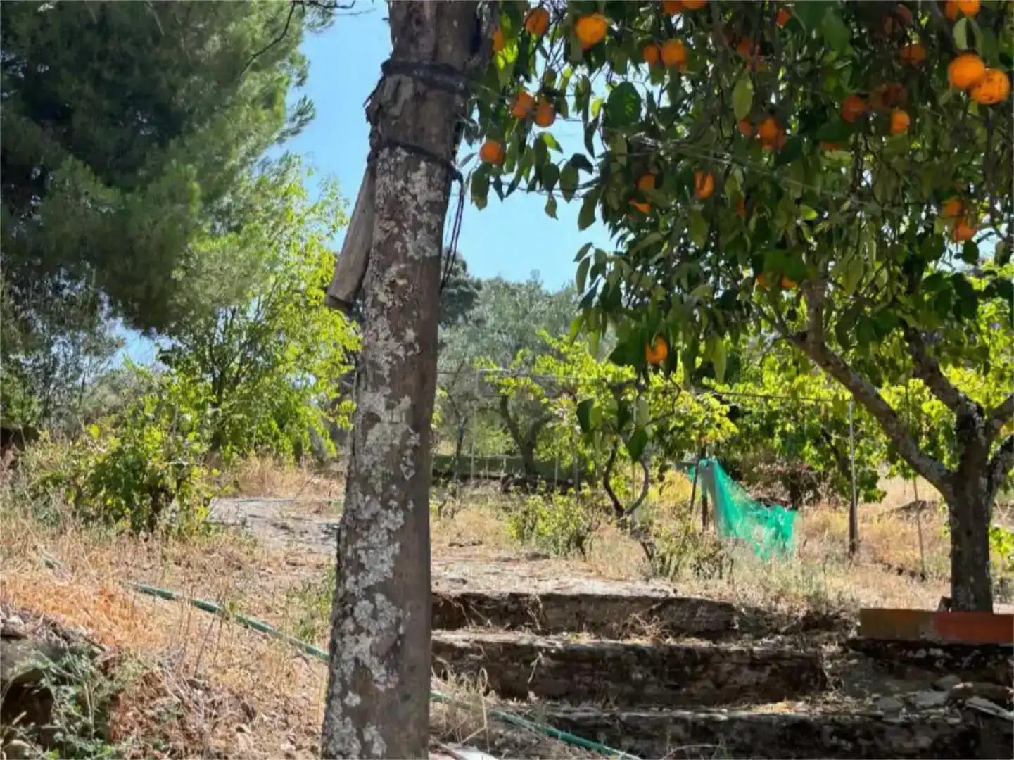 Finca rústica en venda en Madroñera amb Jardí privat, Piscina i Moblat