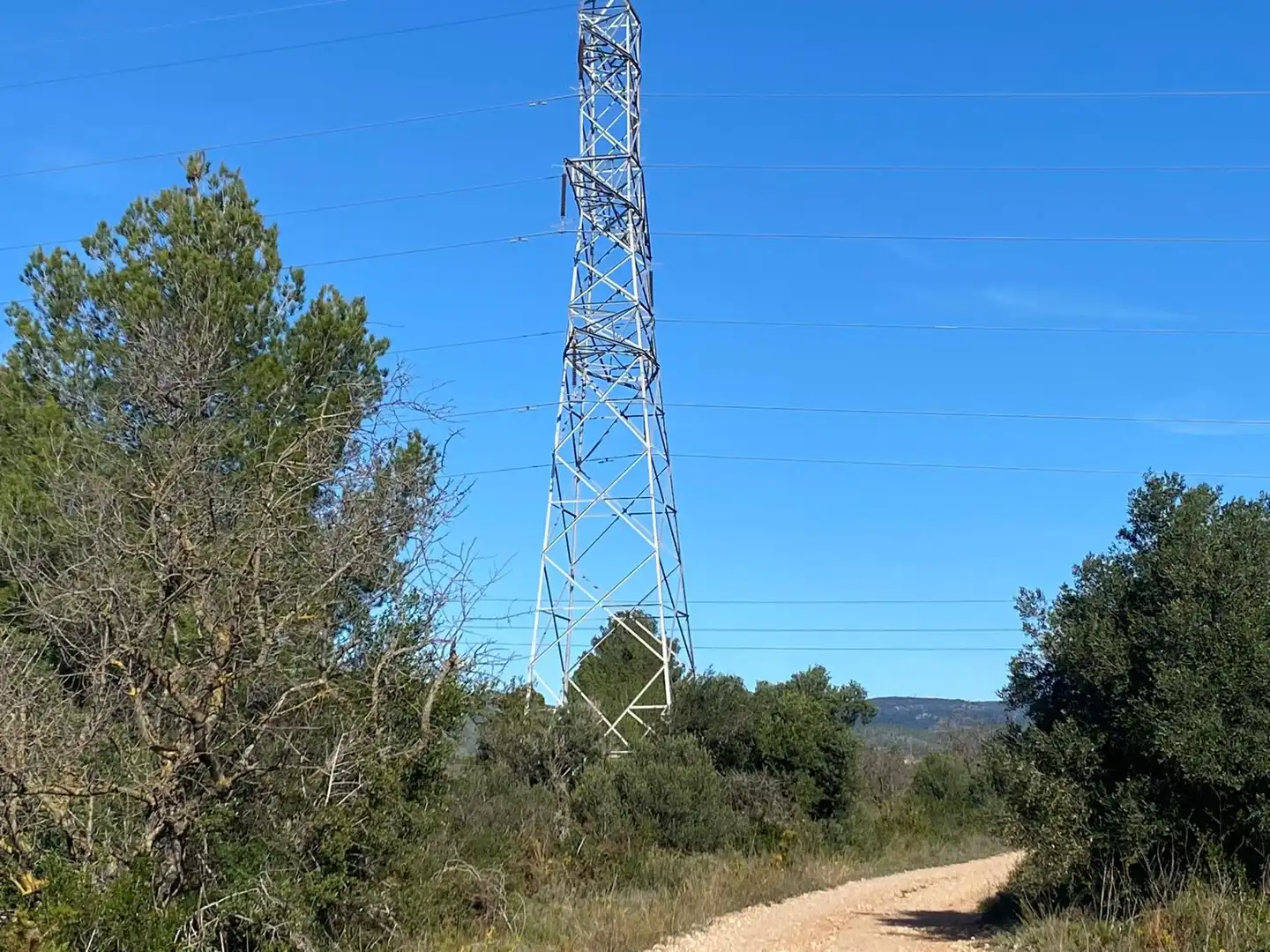 Terrain rustique à vendre à El Pont d'Armentera, imagen 9