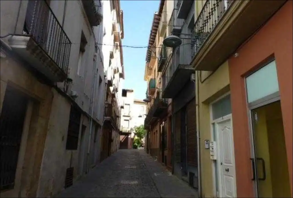 Vista exterior de Piso en venta en Olot