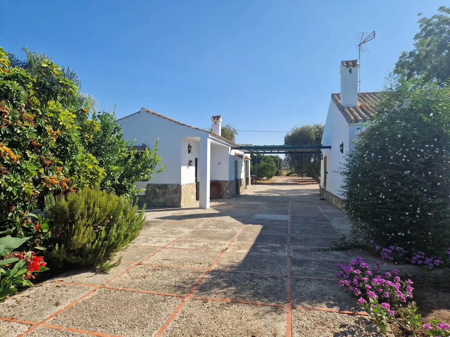 Vista exterior de Finca rústica en venta en Jerez de la Frontera con Aire acondicionado, Calefacción y Piscina