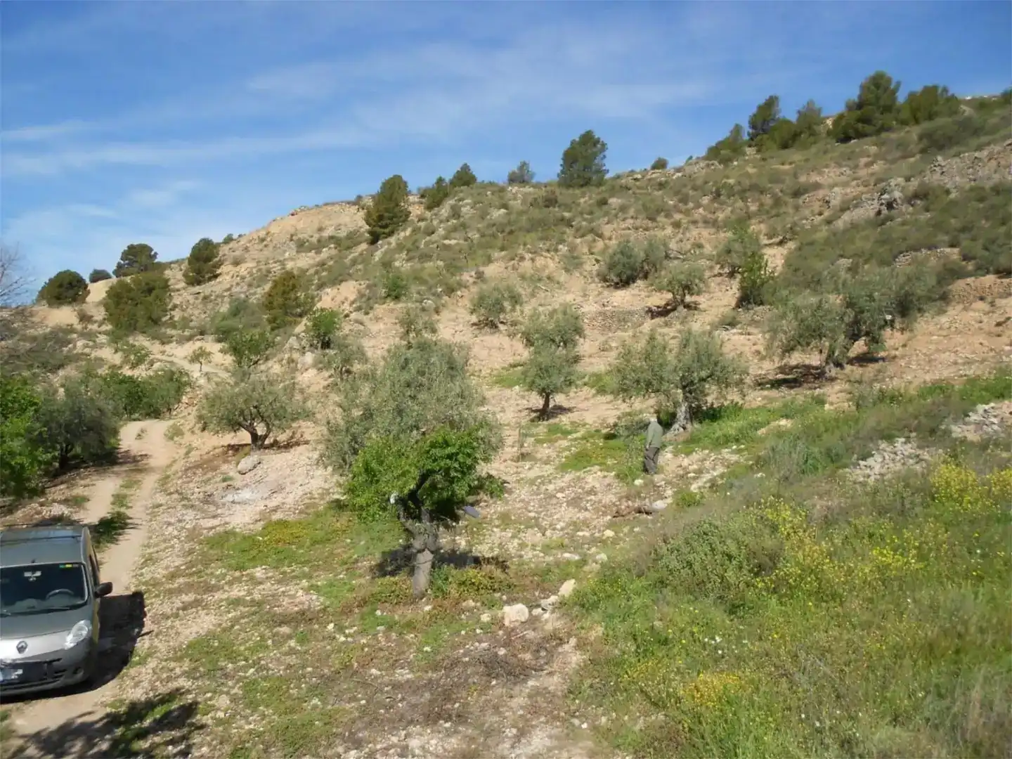 Terreno en venta en Almegíjar