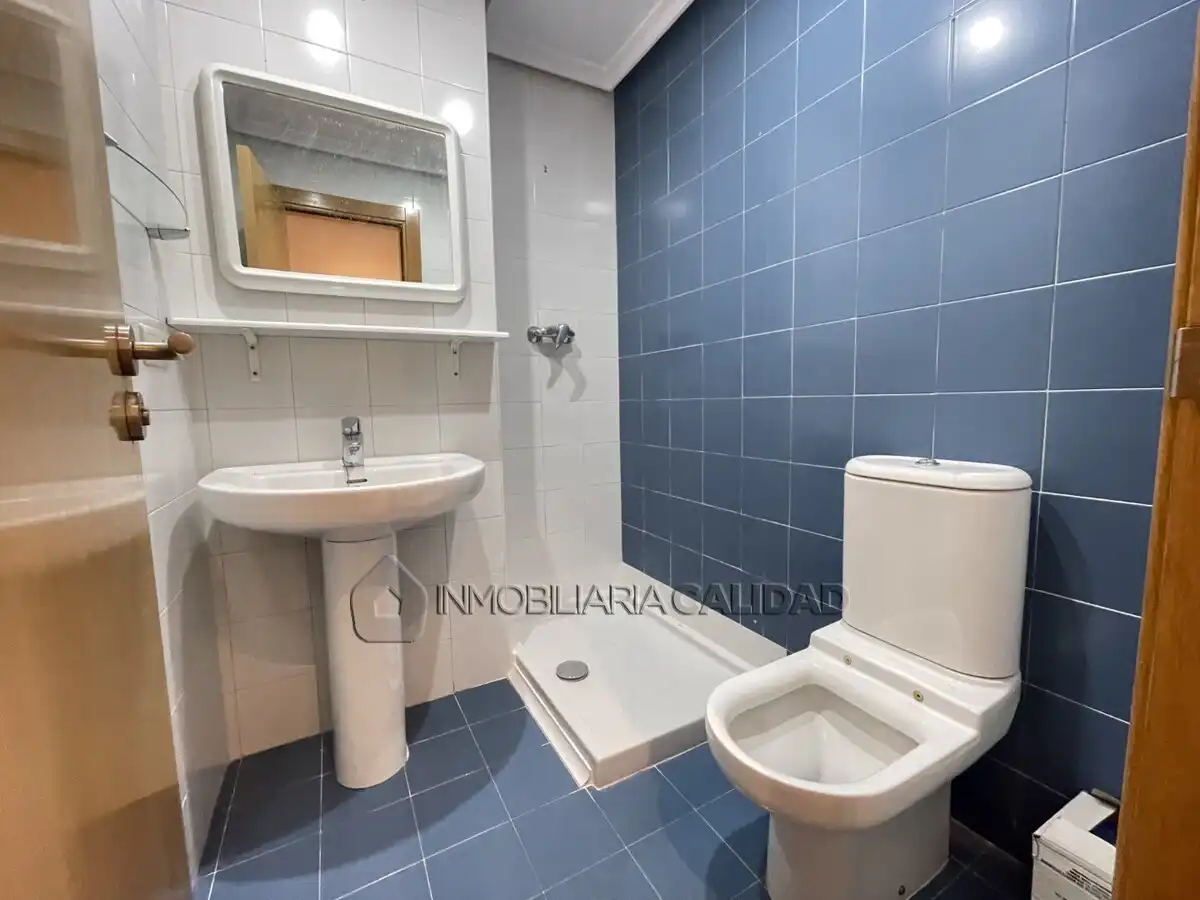 Flat for rent in Burgos  with Heating, Furnished and Pets allowed