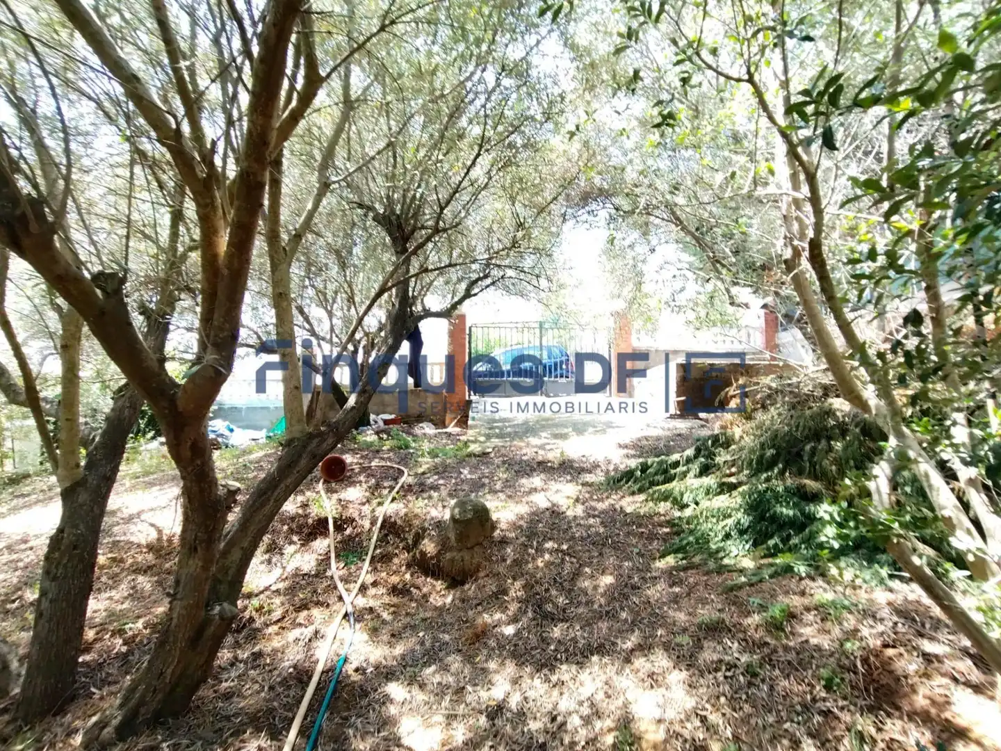 Terrenos y solares en venta en Riudarenes, imagen 4