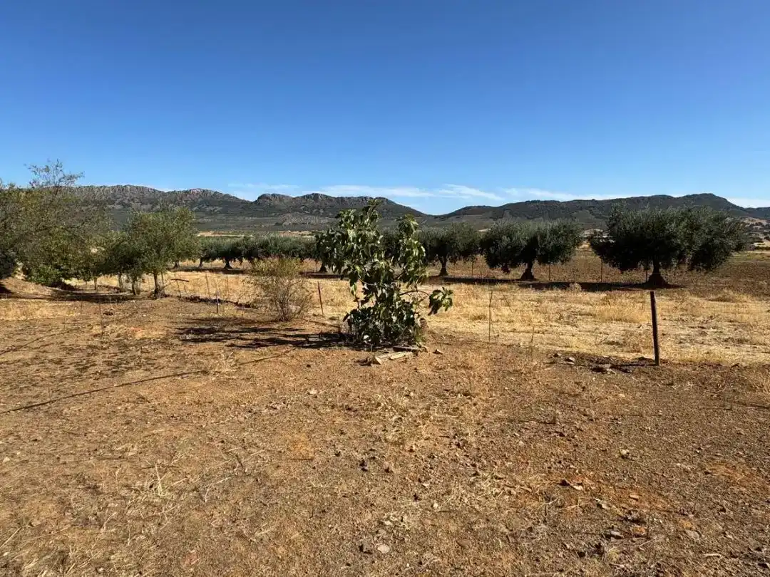 Pis en venda en Cabeza del Buey amb Jardí privat i Traster