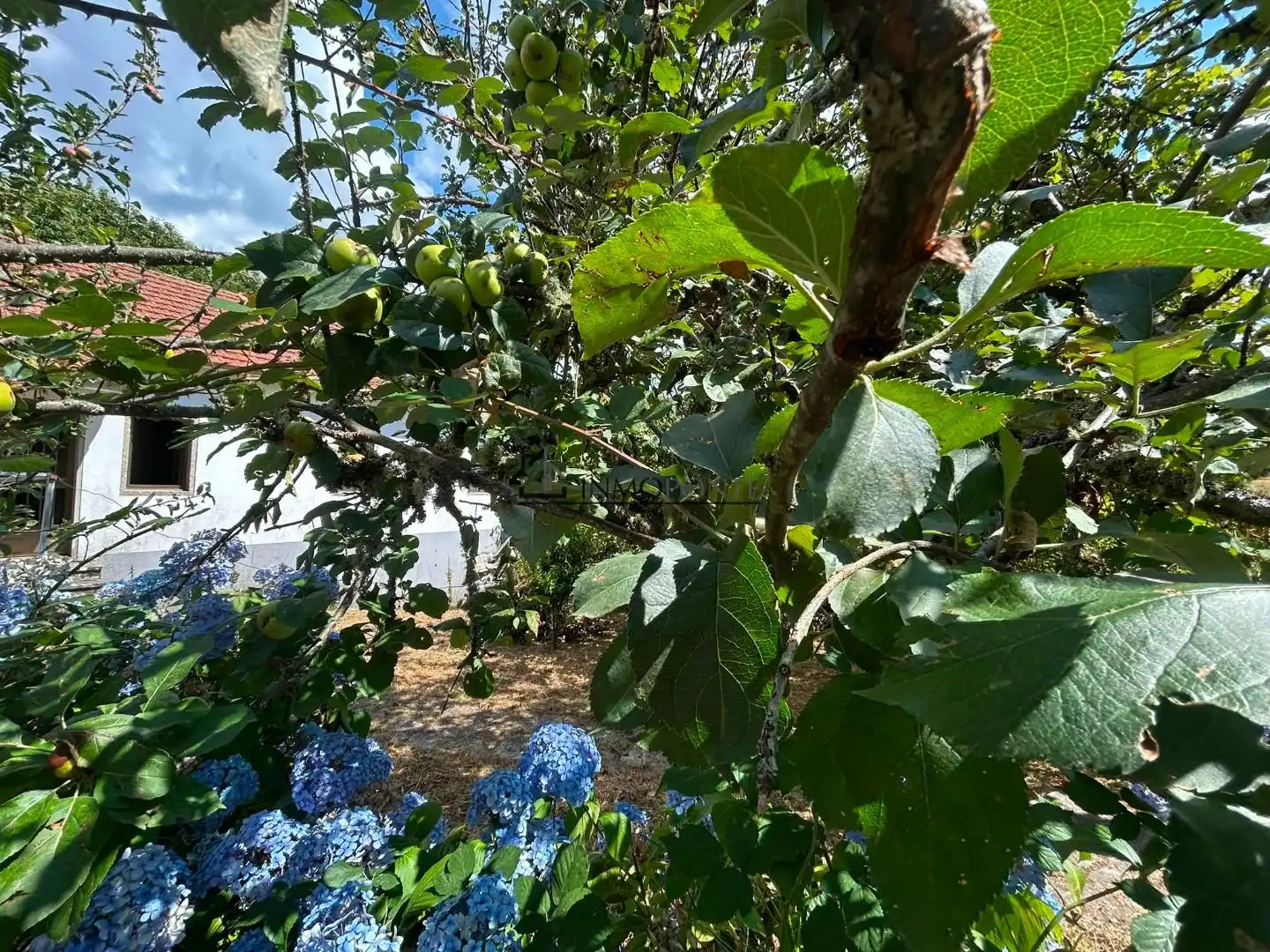 Jardí de Casa o xalet en venda en Forcarei amb Calefacció, Jardí privat i Traster
