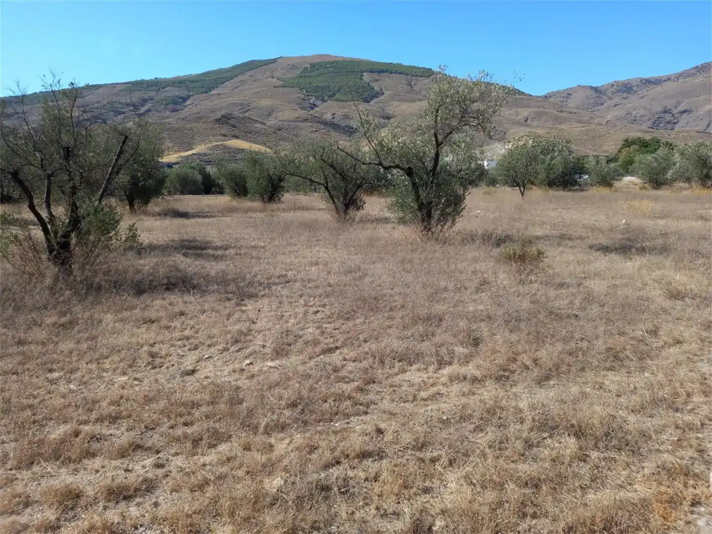 Terreno en venta en Las Tres Villas, Almería