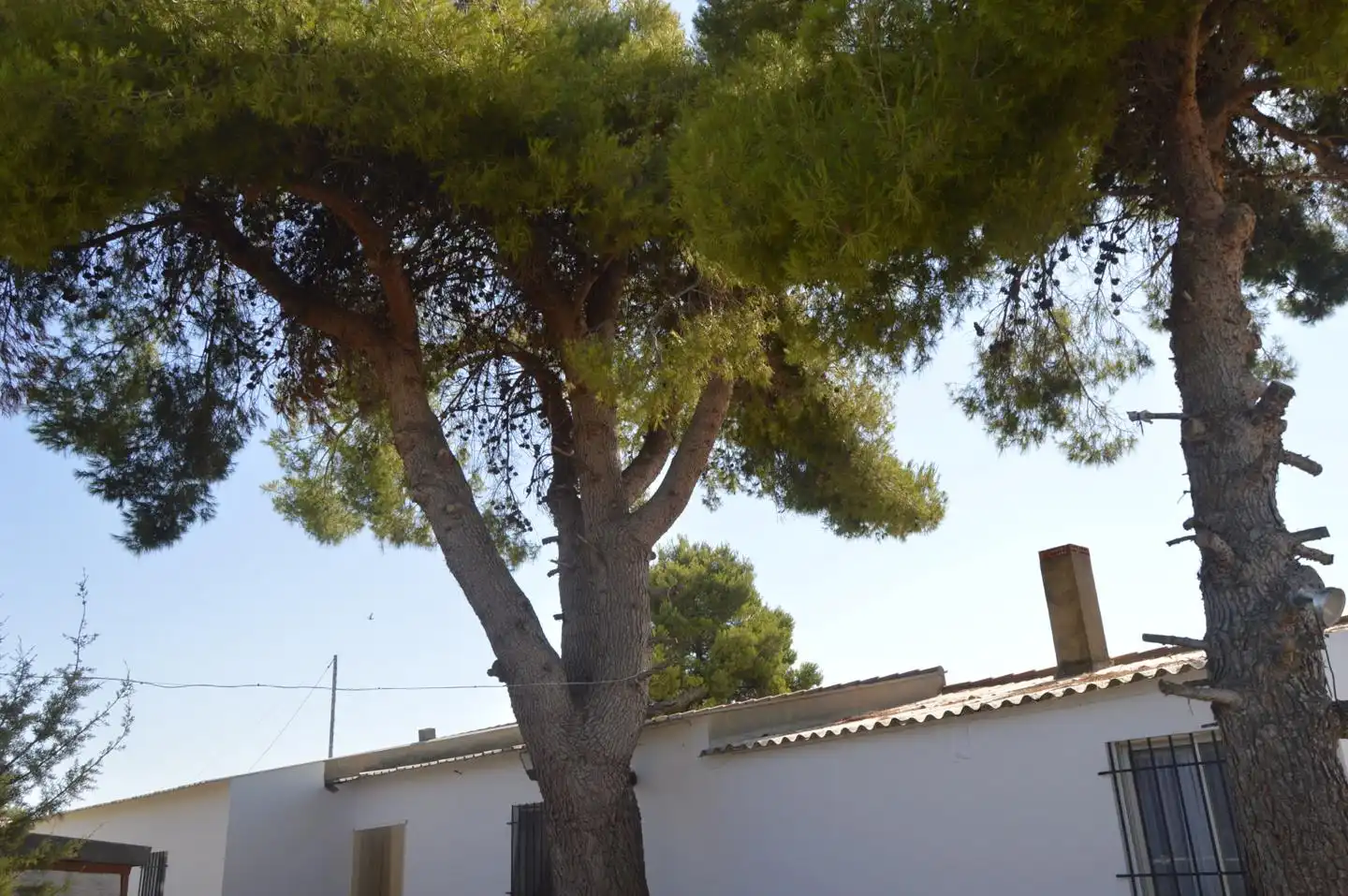 Jardí de Finca rústica en venda en Tarancón amb Jardí privat