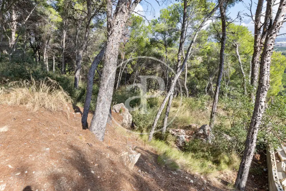 Terreno residenziale in vendita a El Bosque, imagen 7