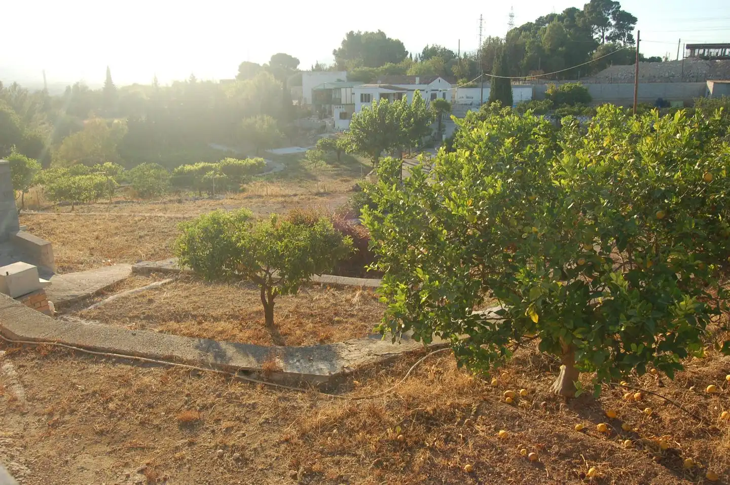 House with pool for sale in Camí de Sant Jordi, imagen 45