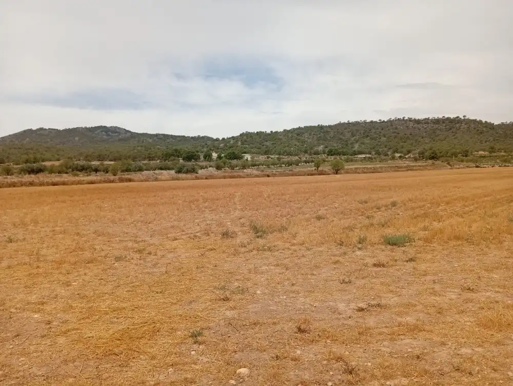 Residential land for sale in N/A, imagen 5
