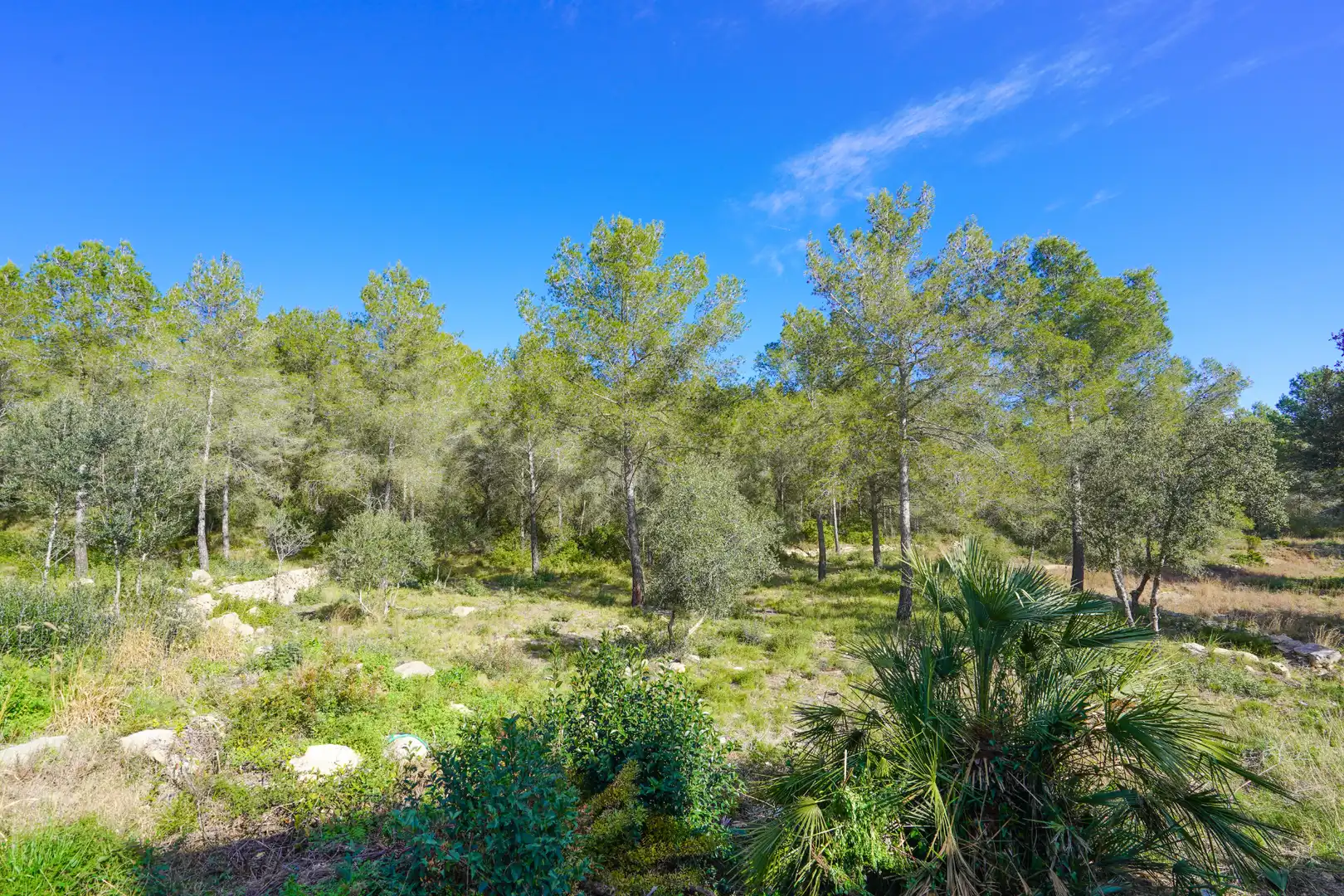 Casa o xalet en venda en Tarragona amb Aire condicionat, Calefacció i Jardí privat