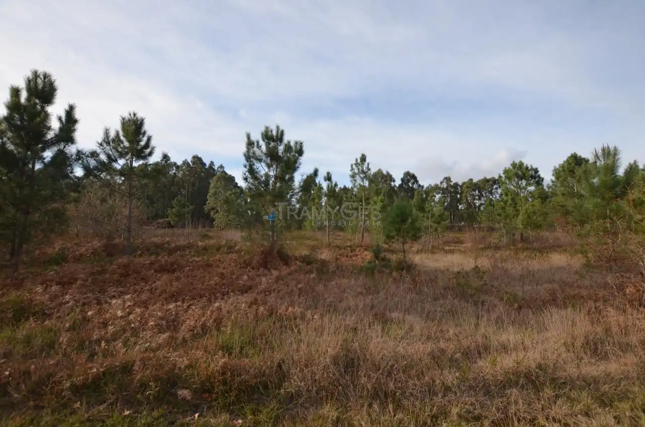 Residential land for sale in LUGAR O MONTE, imagen 12