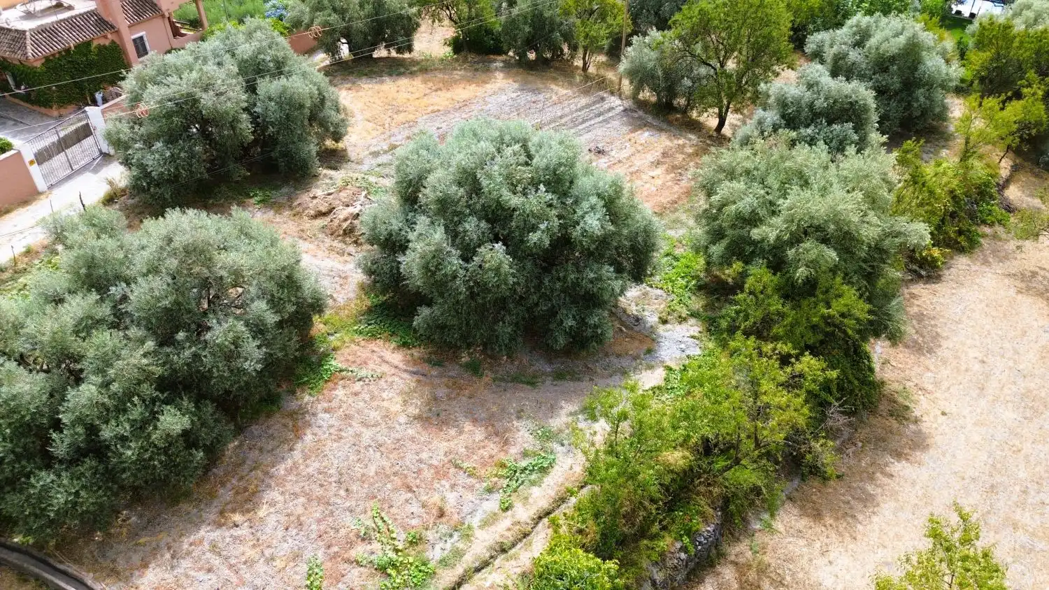 Finca rústica en venda en Órgiva