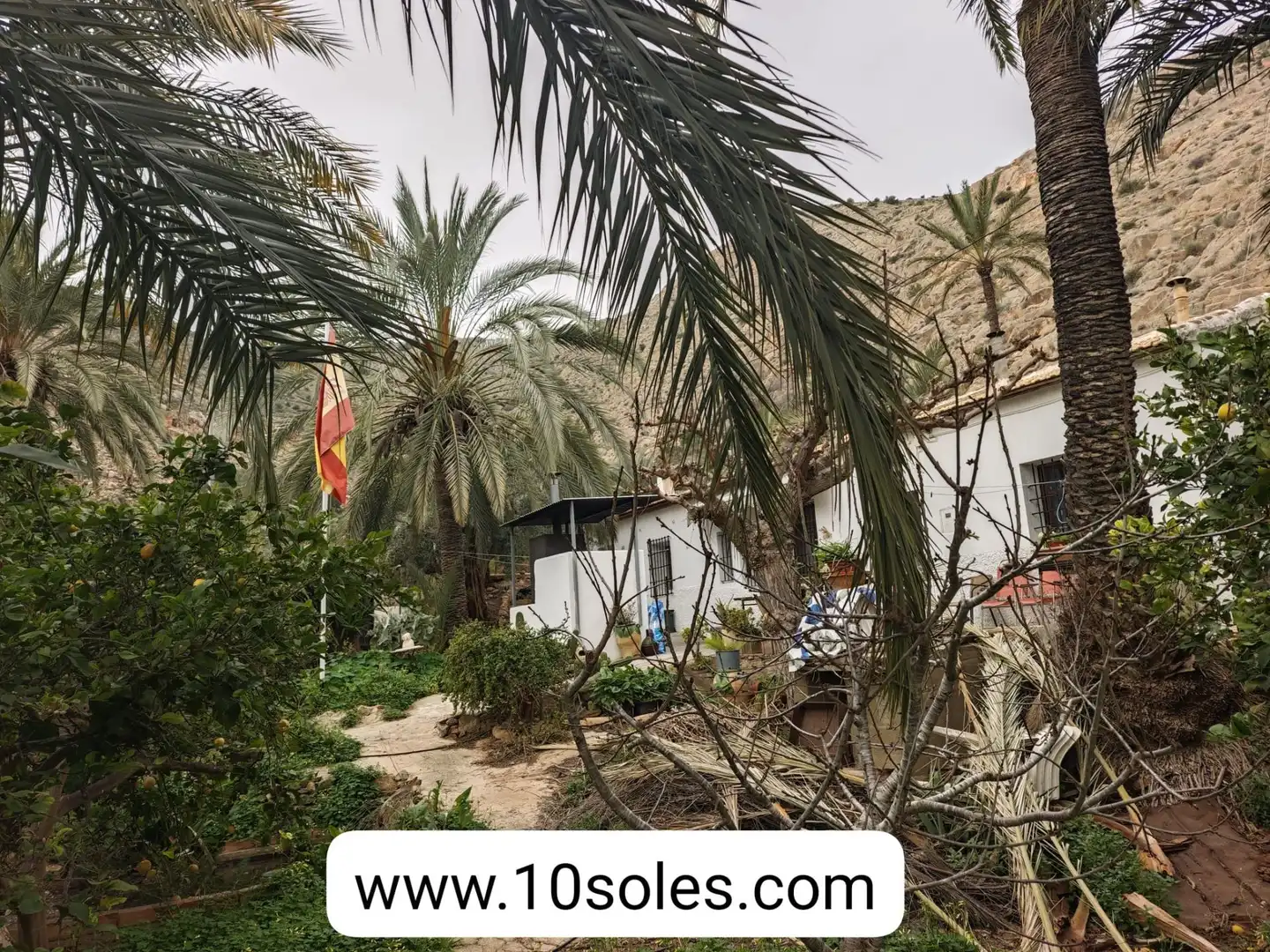 Casa amb piscina en venda a Montepinar - La Aparecida - Raiguero, imagen 8