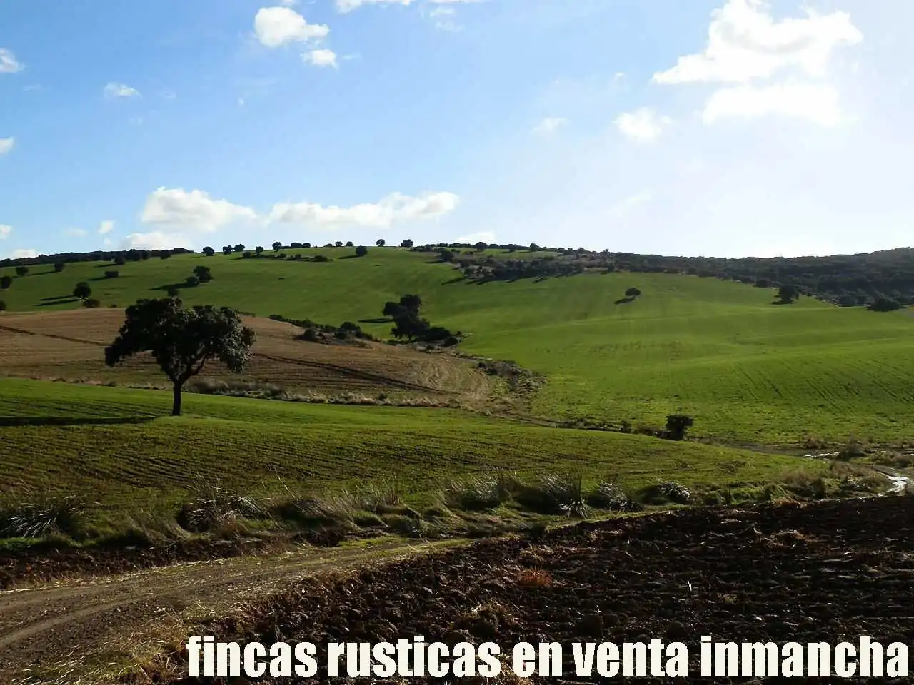 Terreny rústic en venda a Viso del Marqués, imagen 3