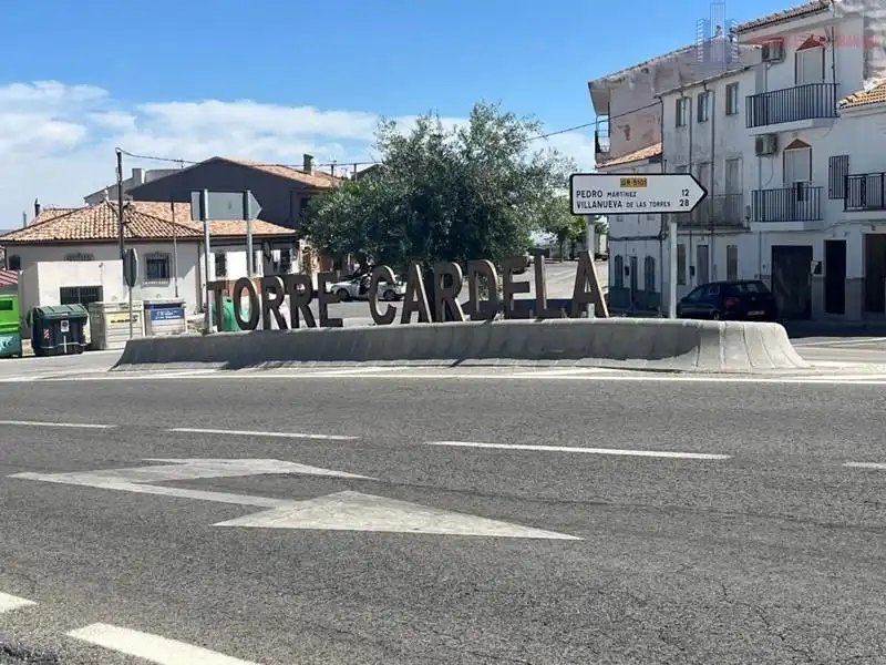 Maison à vendre à JAEN 37
