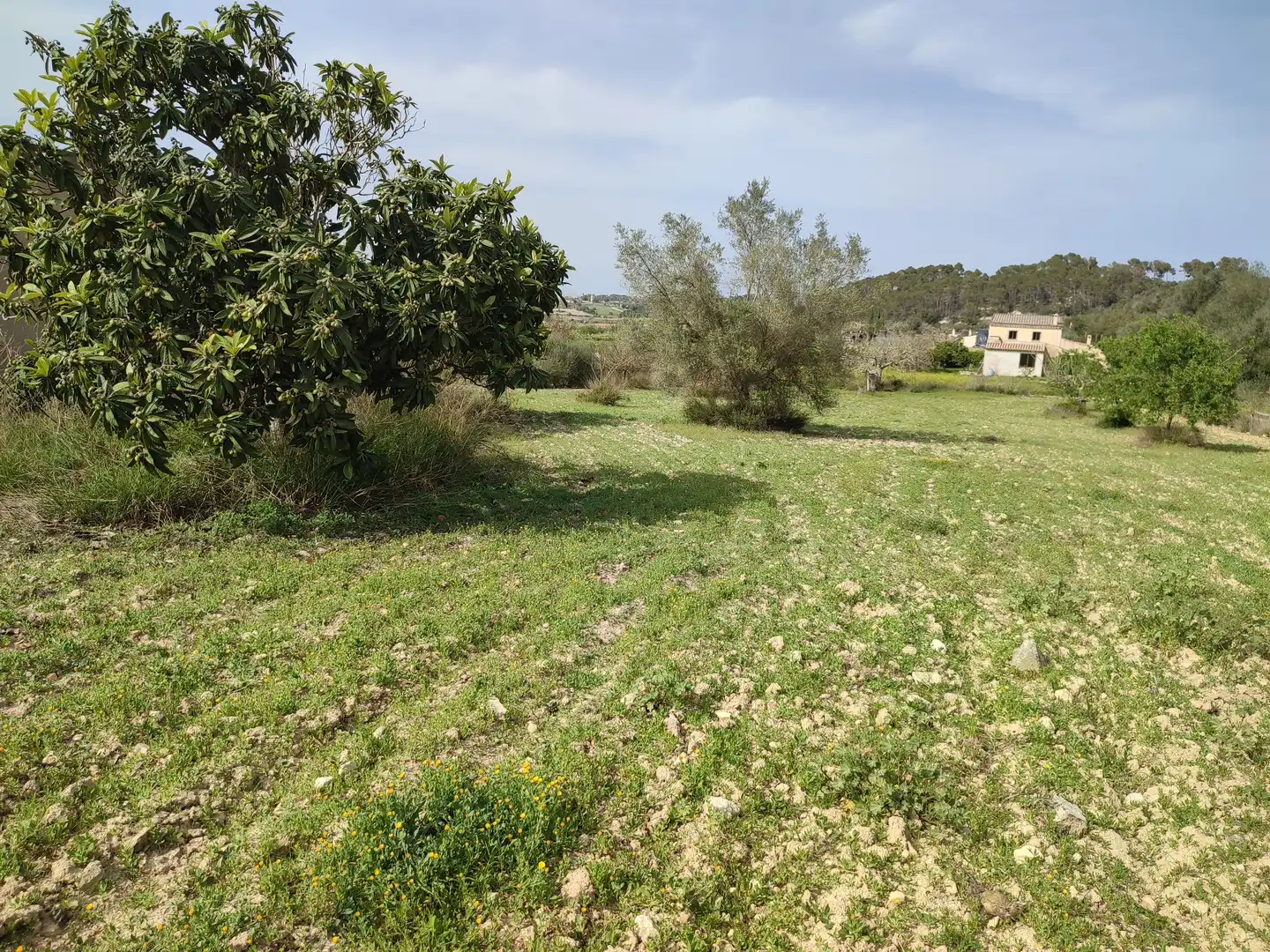 Finca rústica en venda en Montuïri amb Jardí privat i Terrassa