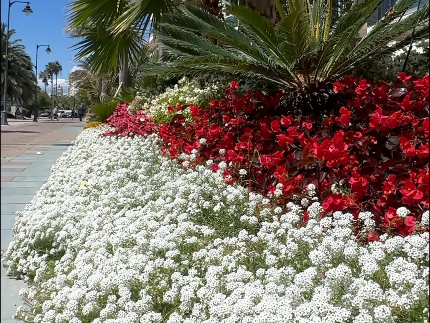 Garden of Apartments for sale in Estepona  with Air Conditioner, Terrace and Furnished