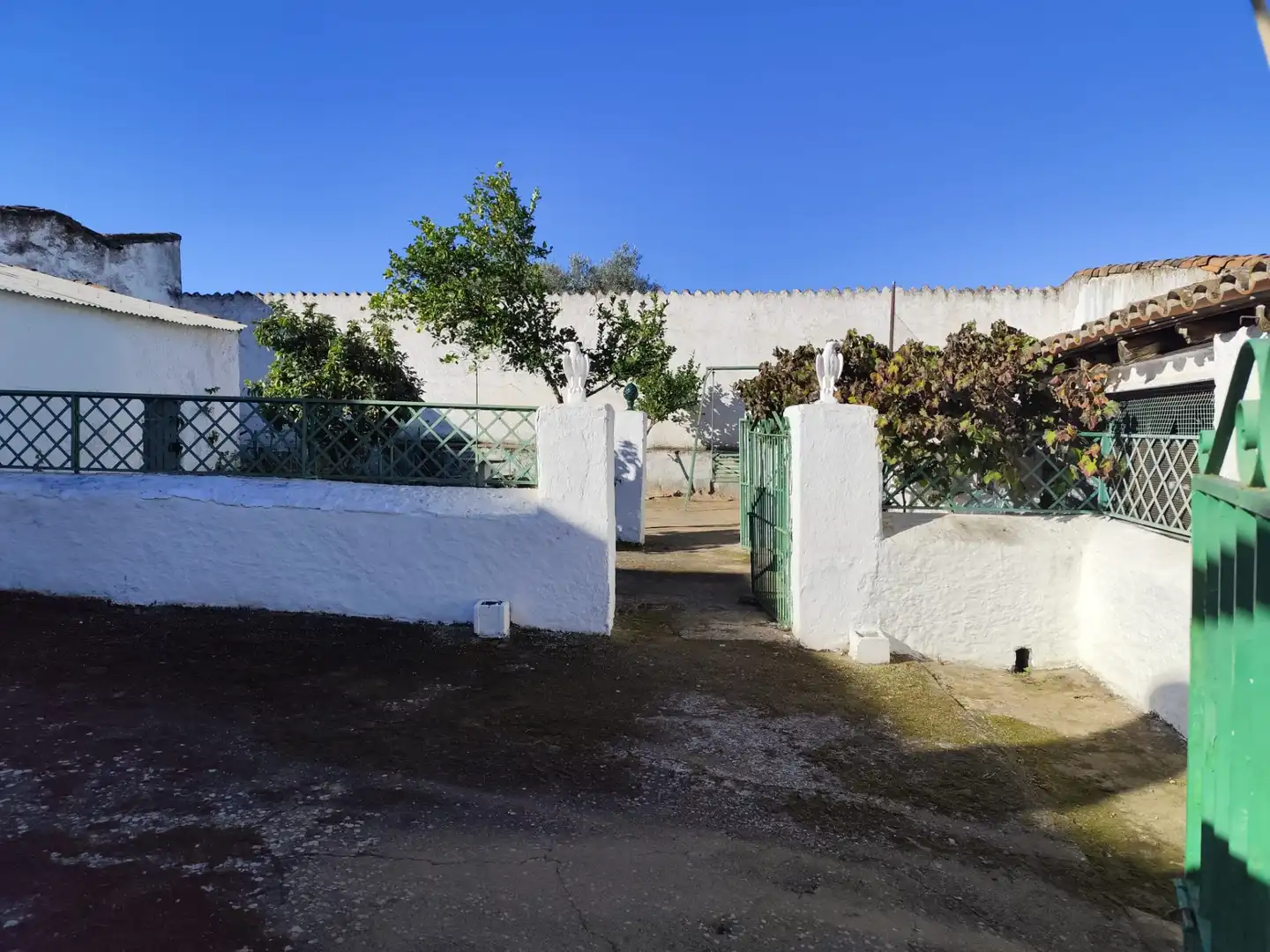 Vista exterior de Casa o chalet en venta en Zafra con Jardín privado