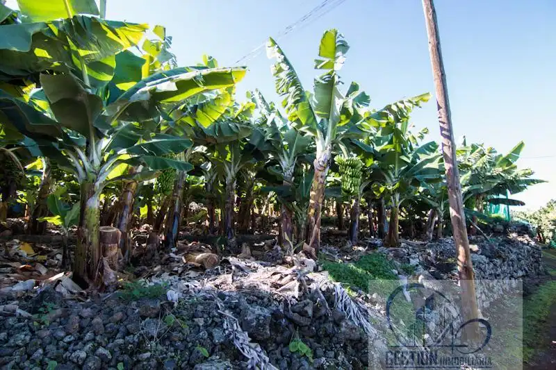 Vista exterior de Finca rústica en venta en Puerto de la Cruz