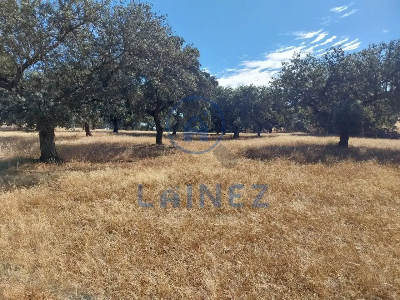 Lands and plots for sale in Fuente Obejuna, imagen 6