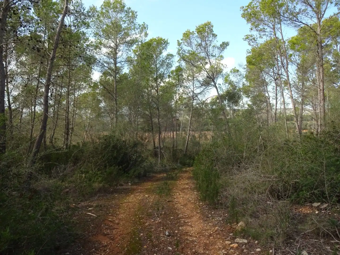 Finca rústica en venta en  Palma de Mallorca