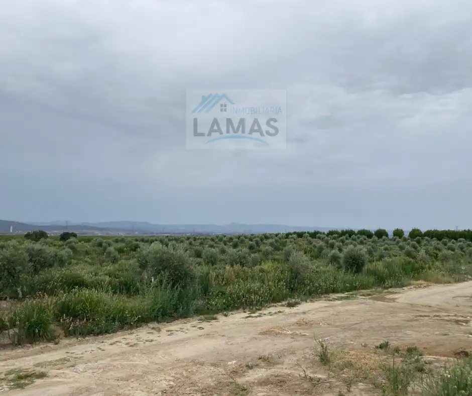 Terreni e lotti in vendita a Saucedilla, imagen 2